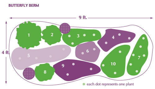 Diagram of layout for butterfly garden