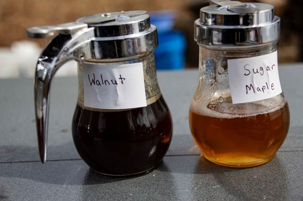 Walnut and sugar maple syrups