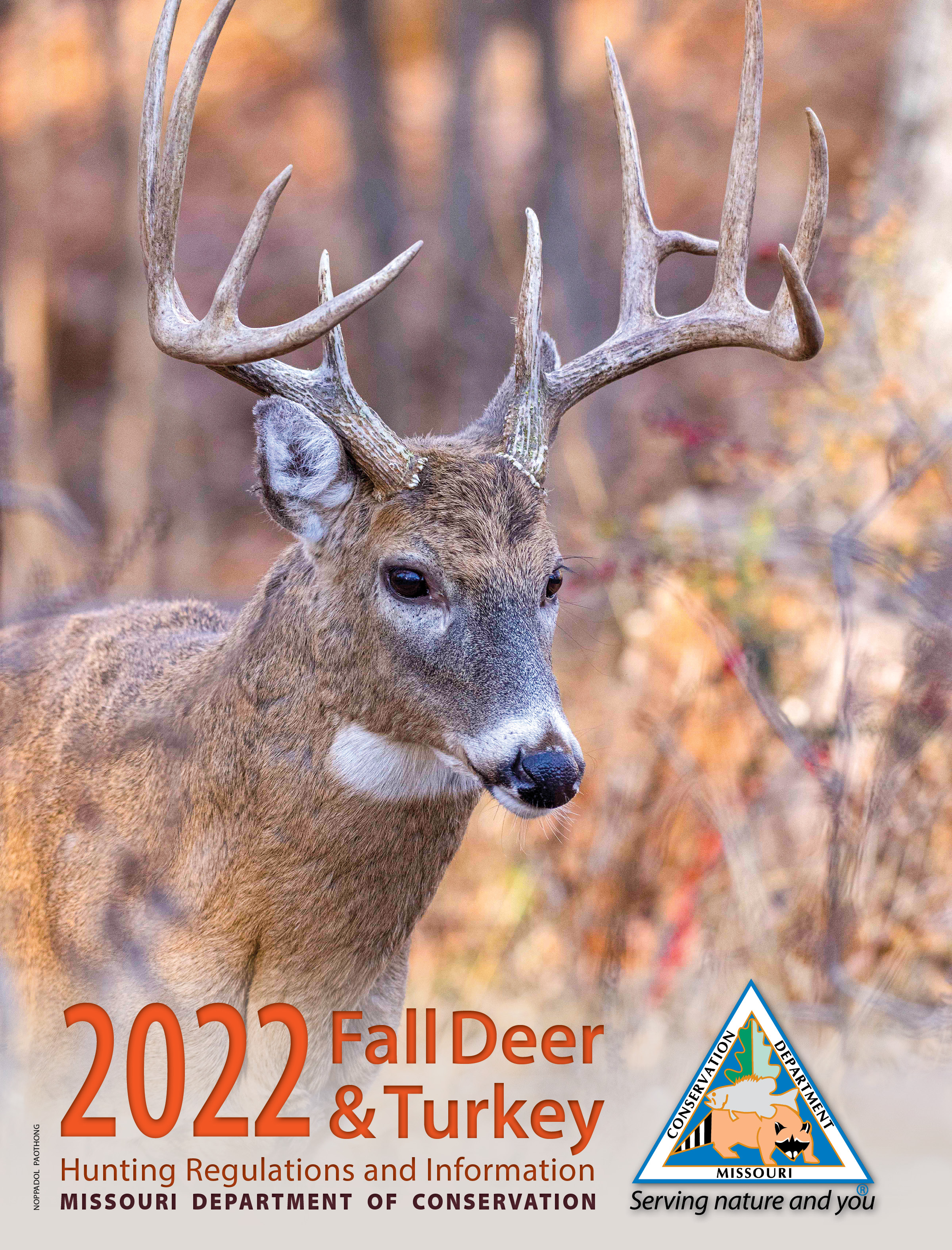 fall deer booklet cover