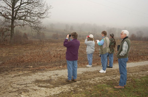 A group of birders look for birds in winter
