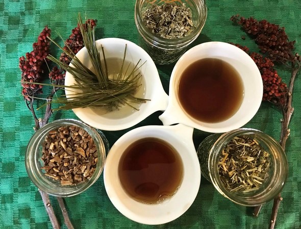 teas from trees