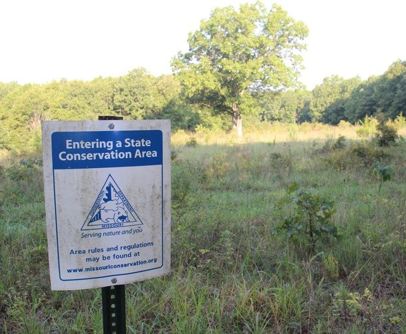 Lamberson Memorial Conservation Area