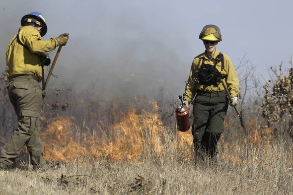 A man and woman conduct a prescribed burn