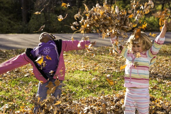 two kids frolicking in leaves