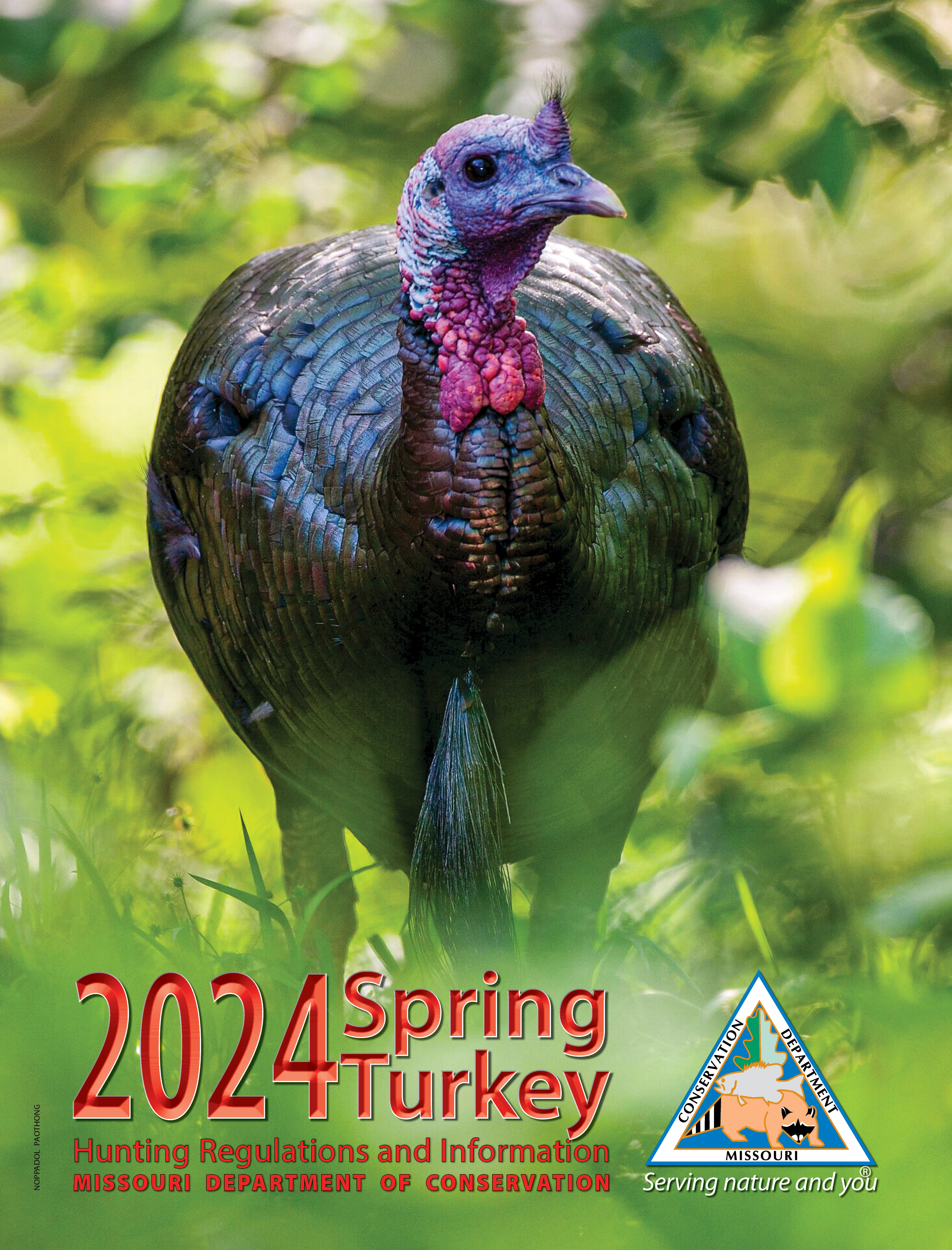 2024 Spring Turkey Hunting Regulations booklet cover