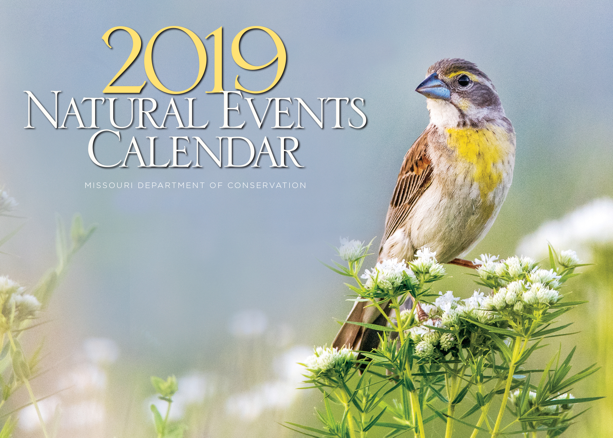 2019 MDC Natural Events Calendar cover