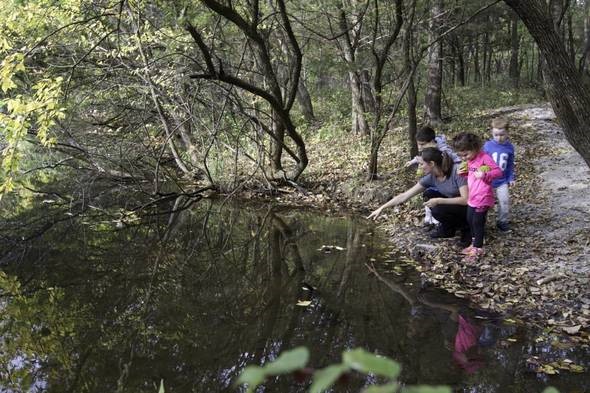 Three young kids with female teacher discovering nature at a pond