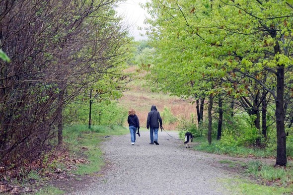A couple walks their dog at Mark Youngdahl Conservation Area
