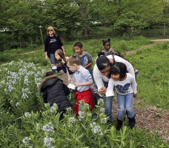 students and adults explore a patch of wildflowers