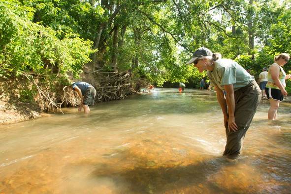 An instructor and teachers wading in a stream on a sunny summer day