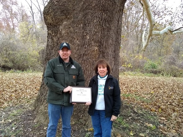 two people pose in front of co-champion American sycamore