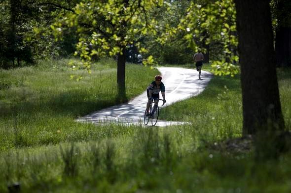 a cyclist and runner go along path through trees