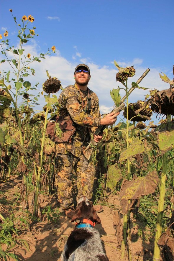  A dove hunter loads his shotgun in a sunflower field.