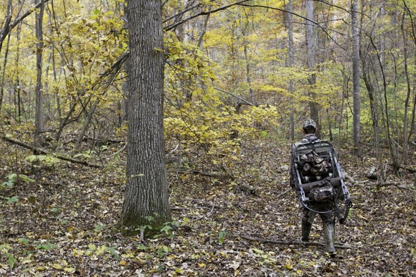 Hunter walks through woods