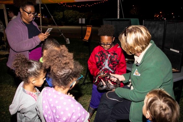 MDC staff show children a live snake at the HOWLoween event in Kansas City.