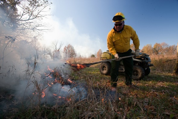 A man managing a prescribed fire for land improvement.