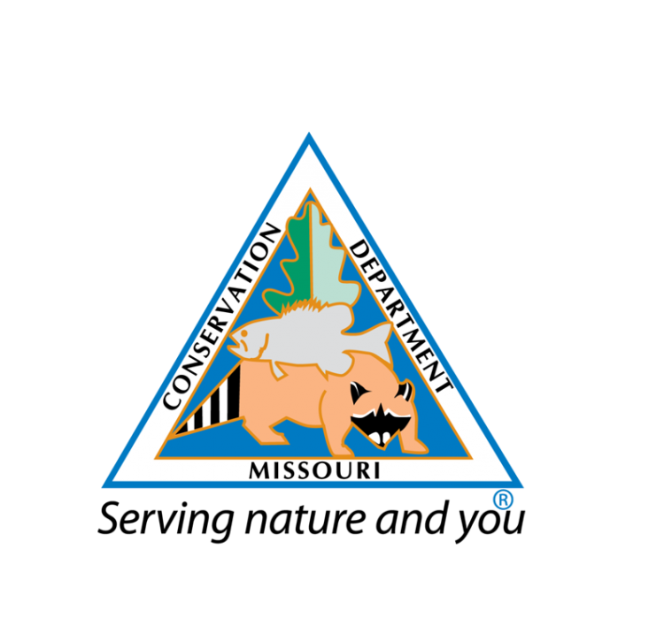 MDC Color Logo