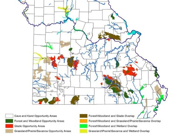 Map of Missouri showing SWAP's Conservation Opportunity Areas color-coded by habitat system, from p. 31 of SWAP