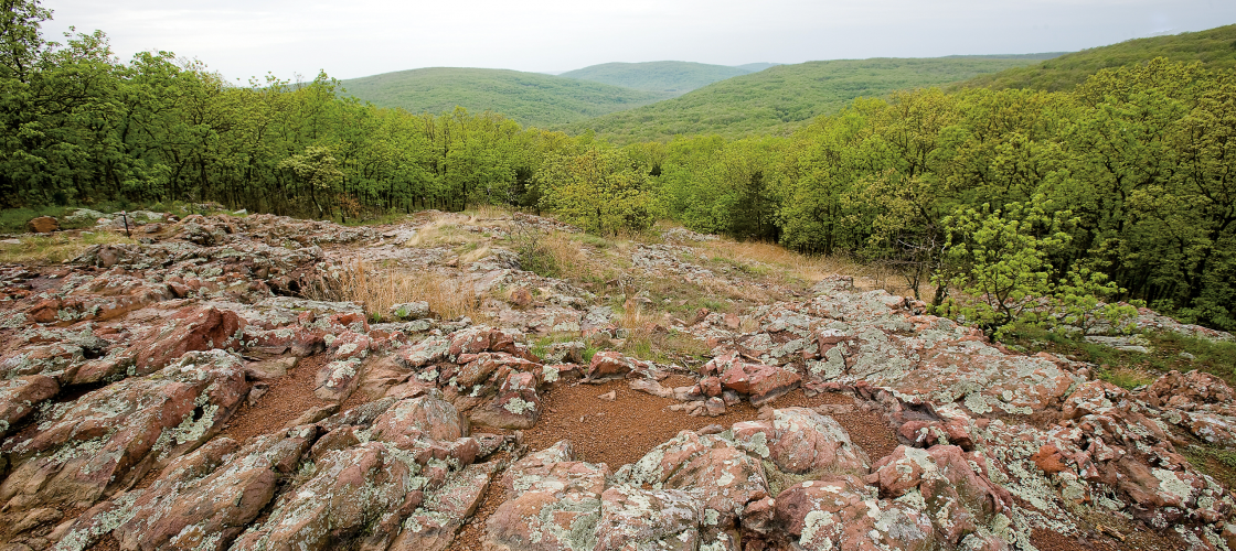 Rocky glade on mountain top with forest and far horizon in background