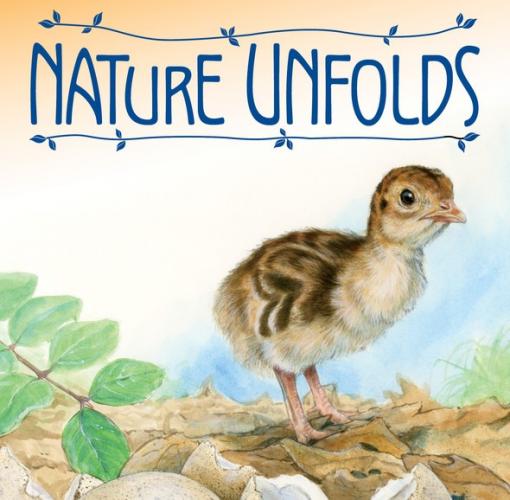 Nature Unfolds cover