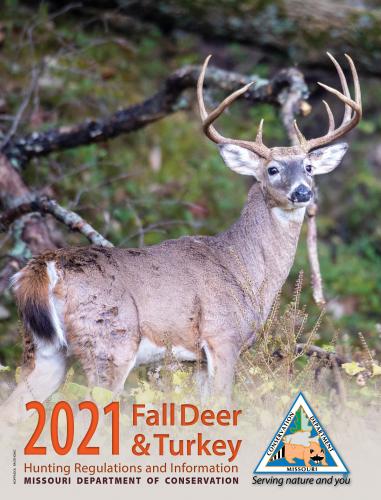deer booklet cover