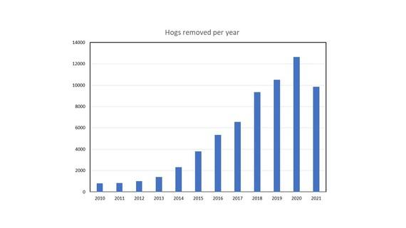 Hogs removed per year graph