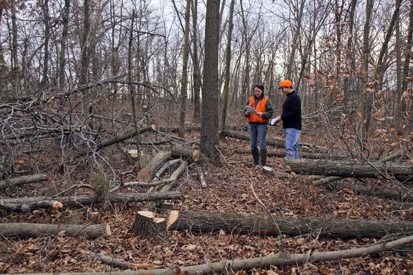 MDC Helps Landowners with Woodland Management