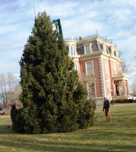 Christmas Tree at Governor's Mansion