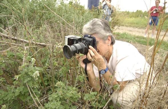 A woman crouches to take a nature photograph.