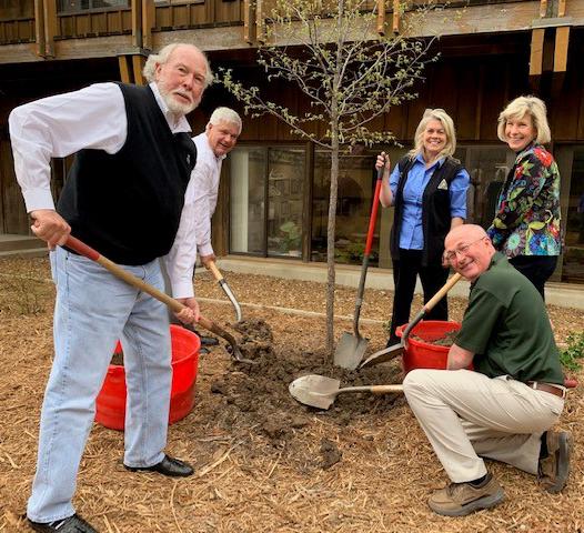 Commissioners and director planting a tree