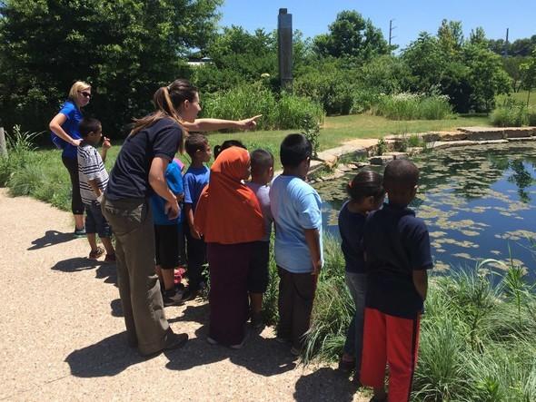 MDC staff teach children about nature at the Discovery Center.