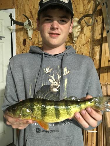 Isaac Bohm poses with his first state record yellow perch caught using alternative methods.