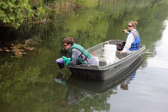 MDC staff taking samples of a pond that includes invasive aquatic plants.