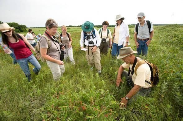 Master Naturalists being trained in a field