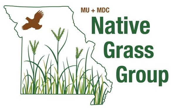 Native Grass Group