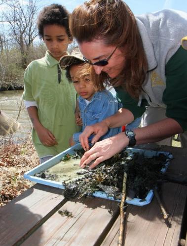 Volunteer Naturalist Angie Jungbluth shows kids a pond-life exploration station during a Wetlands for Kids Day event last summer.