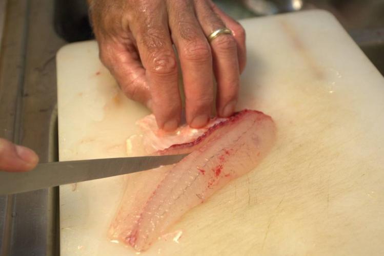 cutting a fish filet