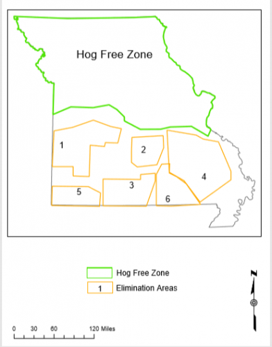 Feral Hog Map