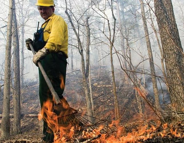 managing property with prescribed fire