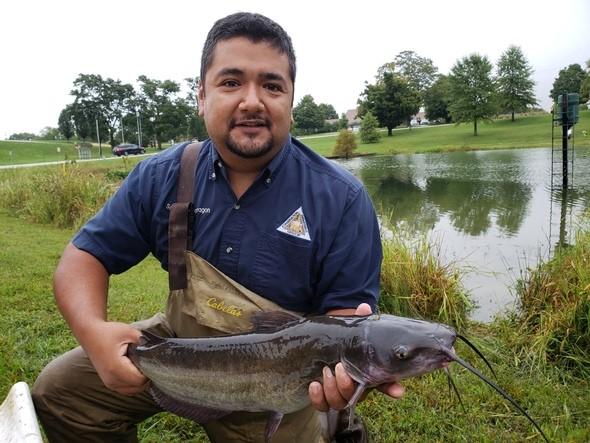Fisheries Management Biologist Salvador Mondragon displays a catfish just before tagging it and releasing it into the kid's fishing pond at the Cape Girardeau Conservation Nature Center.