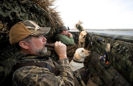 Waterfowl hunters in blind