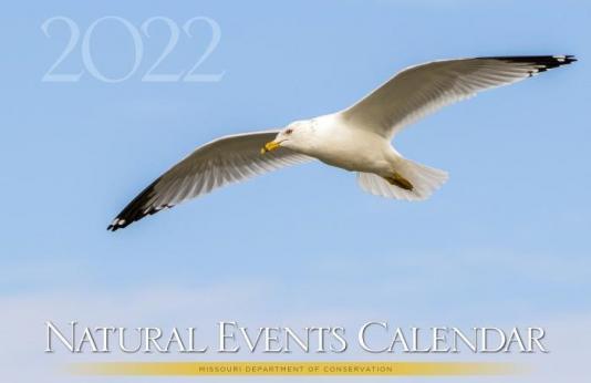 2022 Natural Events calendar