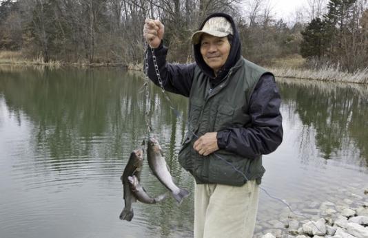 Angler holds three rainbow trout