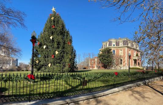 Donated evergreen Christmas tree on front lawn of Governor's Mansion