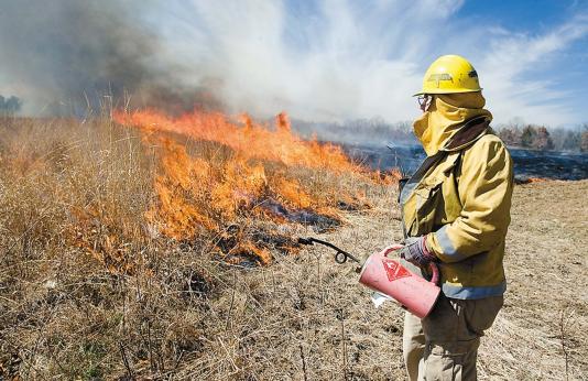 controlled burns
