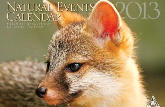 2013 Natural Events Calendar Cover