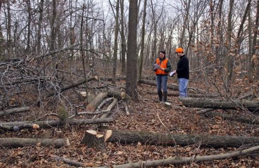 MDC Helps Landowners with Woodland Management