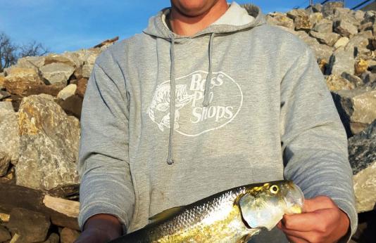 James Lucas holding his state-record skipjack herring.