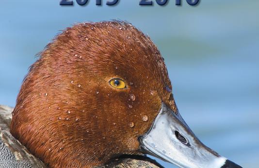 Waterfowl Hunting Digest 2015 -- 2016