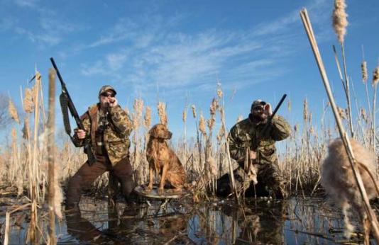 Duck Hunting with Dog